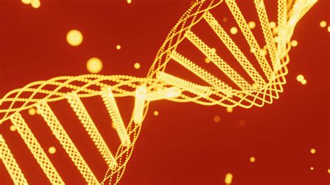 DNA Structure 的图像结果
