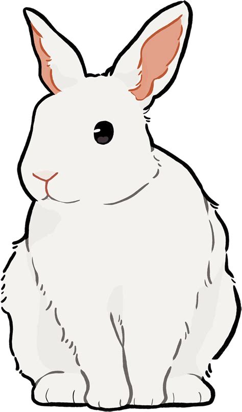 White Rabbit PNGs for Free Download