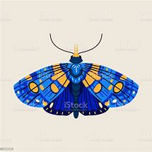 Image result for Moth Printable