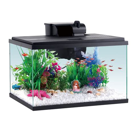 Free Shipping! Aqua Culture Fish Tank 5 Gallon Glass Aquarium Starter ...