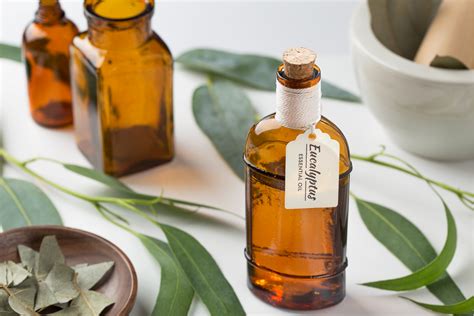 Eucalyptus Inhaler | Meraki Essentials