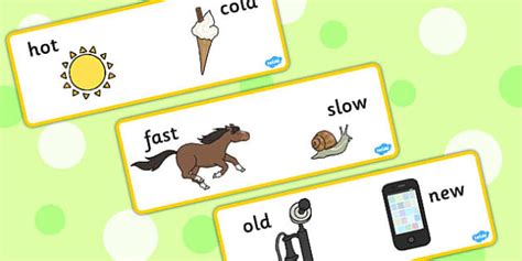 Basic Concept Cards (teacher made) - Twinkl