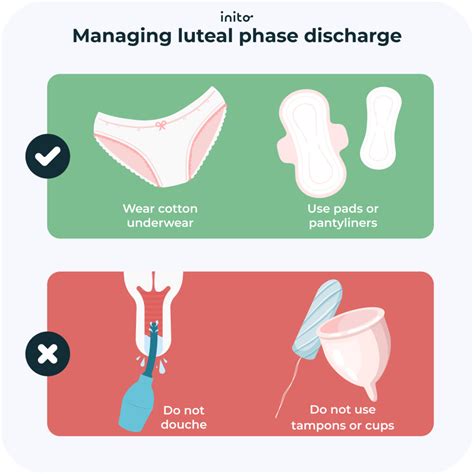 Luteal Phase Discharge: What It's Telling You - Inito