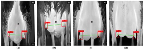 Subclinical Mastitis in Lacaune Sheep: Etiologic Agents, the Effect on ...