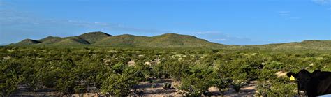 80 acres in Sierra Blanca, TX, 79851 | LandWatch
