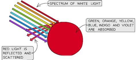 Reflection, Absorption and Transmission - Physics for Grade 10 PDF Download