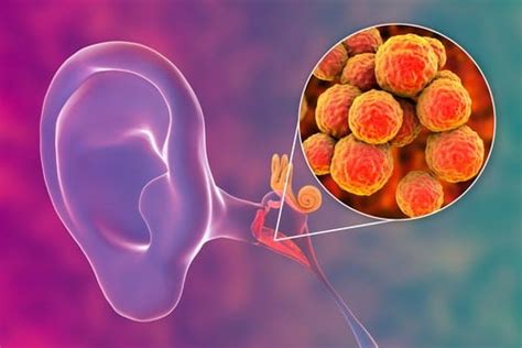 Smell Behind Ears: कान के पीछे की स्मेल कहीं इंफेक्शन का कारण तो नहीं ...