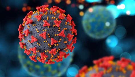 Rise In COVID 19 Cases In India: Precautionary Measures Indians Should ...