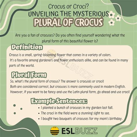 The Plural of A Noun Archives - ESLBUZZ