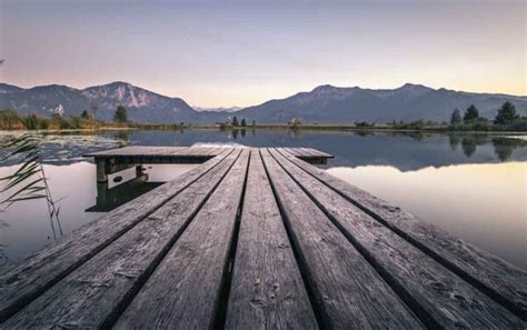 Image result for How to Use digiCamControl for Focus Stacking