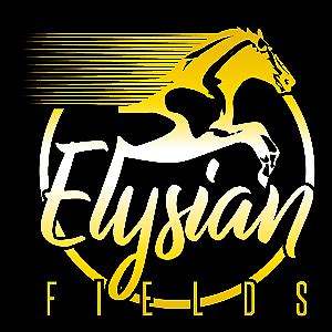 Elysian Fields Equestrian Center | eBay Stores