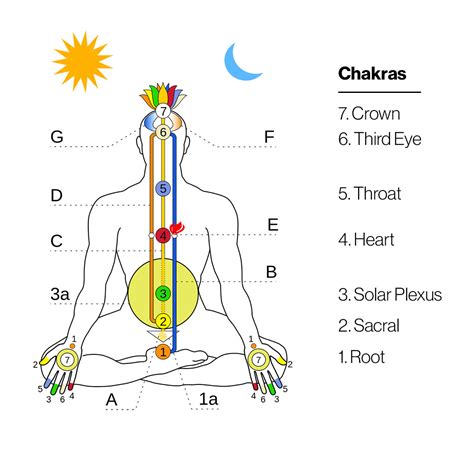 Chakras Energy Body