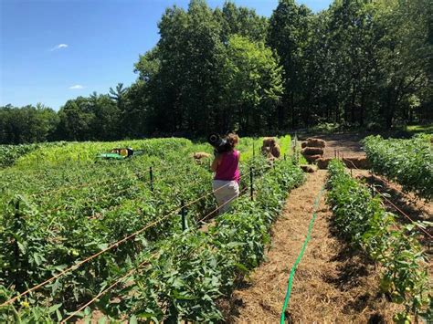Local Food Production 的图像结果