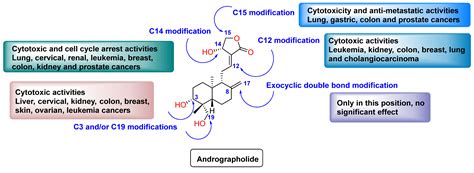 Synthetic Modifications of Andrographolide Targeting New Potential ...