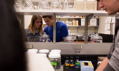 Biomedical Engineering Lab 的图像结果