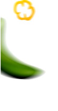 Leading Multicuisine Food Chain In India