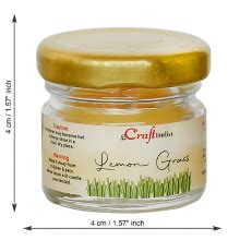 eCraftIndia Set of 5 Mini Jar Lemon Grass Scented Candles for Home ...