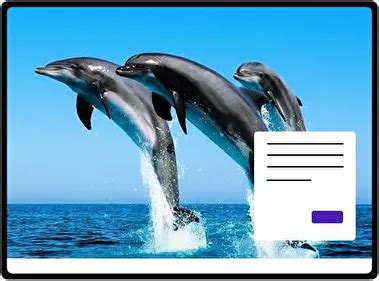 Image result for Floating Button CSS/HTML Design