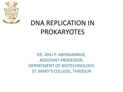 DNA replication prokaryotes | PPTX