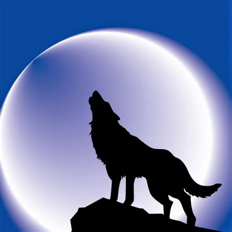 下载手机图片:月球, 动物, 夜, 狼，免费20181。
