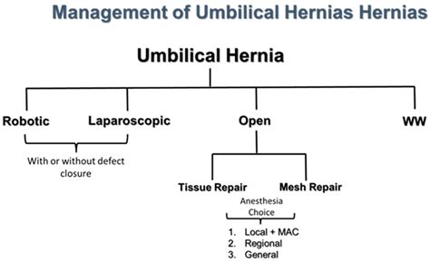 Elective Umbilical Hernia Repair in Adults in the 21st Century ...