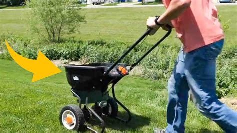 Image result for Spring Lawn Care Tips