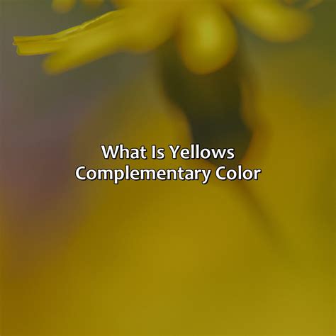 Red And Orange Is What Color - colorscombo.com