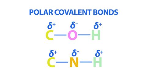 O2 Polar or Nonpolar 的图像结果
