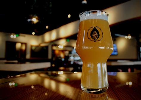 Elm Creek Brewing Co. — Trivia Mafia