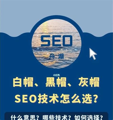 上海SEO推广网站优化快速排名「助企拓客」找孔宇SEO