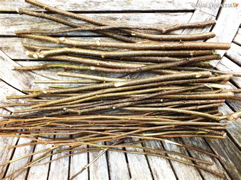 How to Make a Magic Wand Out of a Stick! - Rhubarb and Wren