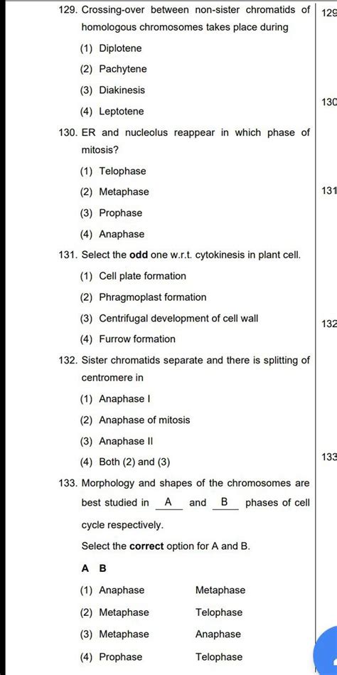 Non Homologous Chromosomes