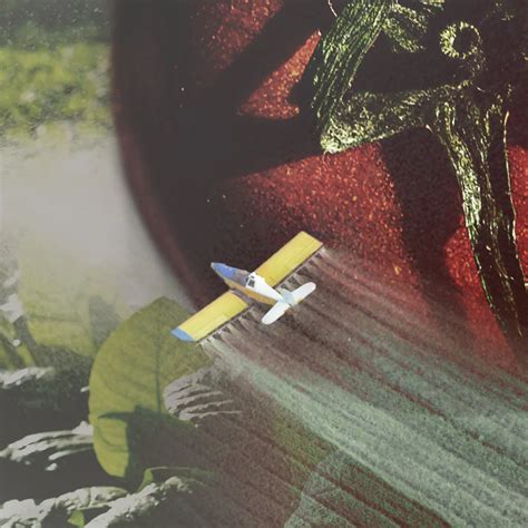 Josseli Barnica Died in Texas After Waiting 40 Hours for Miscarriage ...