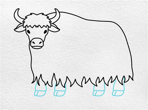 Yak Drawing Easy Step By Step at Victor Adkins blog