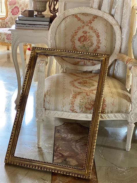 Frame with neoclassical mouldings – Parrot & Lily