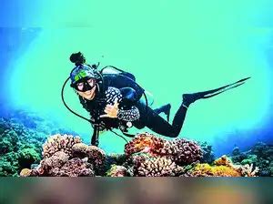 Travel without a footprint - The Economic Times