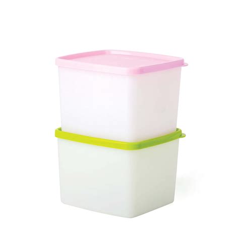 Buy Tupperware Plastic Fridgemate Medium, 800Ml (Set Of 2), Multicolor ...