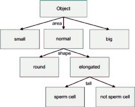 Simple Segmentation 的图像结果