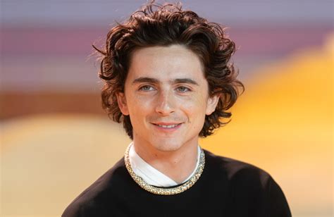 Happy Birthday, Timothée Chalamet: Seine 5 besten Filme