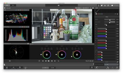 Catalyst Browse Tutorial 的图像结果