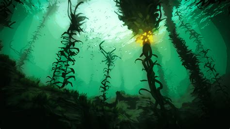 Kelp Forest Wallpapers - Top Free Kelp Forest Backgrounds - WallpaperAccess