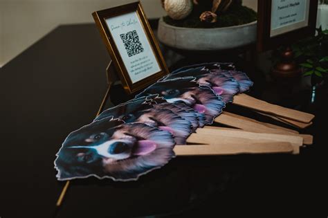 6 Ways to Include Your Dog in Your Wedding - ashleydeansphotography.com