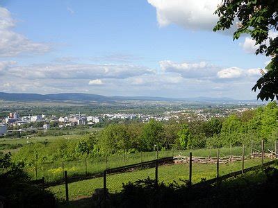 Schwabenheim an der Selz Tourism (2023): Best of Schwabenheim an der ...