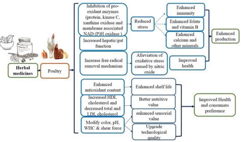 Medicinal Plants as an Alternative to Control Poultry Parasitic Diseases