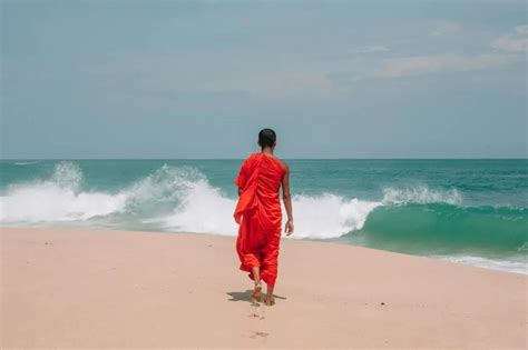 Walking Meditation - MindEasy