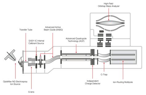 Image result for Orbitrap Exploris Schematic/Diagram