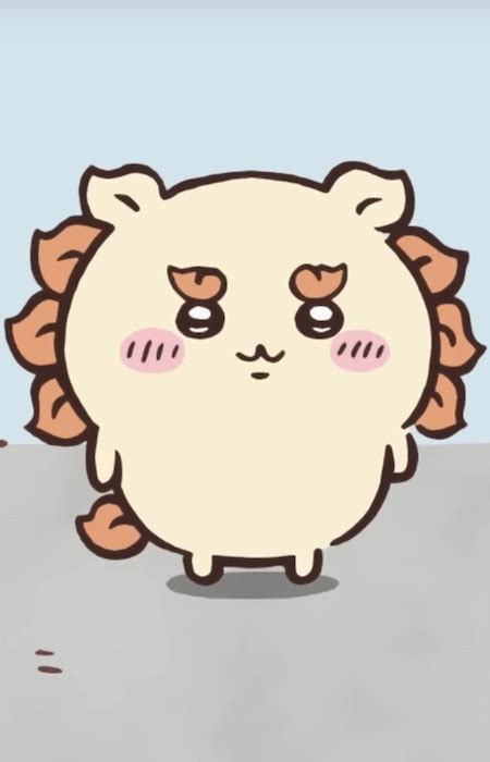 Shisa (Chiikawa) - MyAnimeList.net