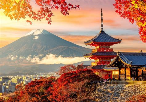 Japan is emerging as an attractive destination for Peruvian blueberries ...