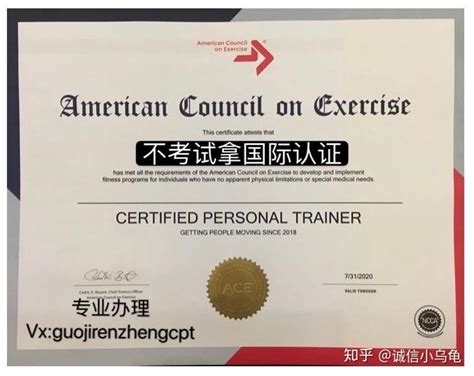 ACE-CPT国际私人教练认证-报名-培训-一对一_哔哩哔哩_bilibili