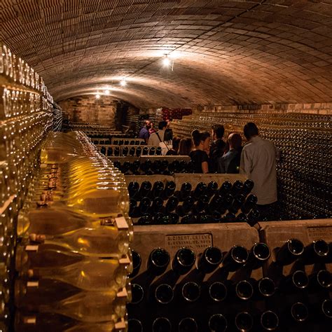 Penedes Rising: the most of cava country | Sparkling Wine | D.O. Cava